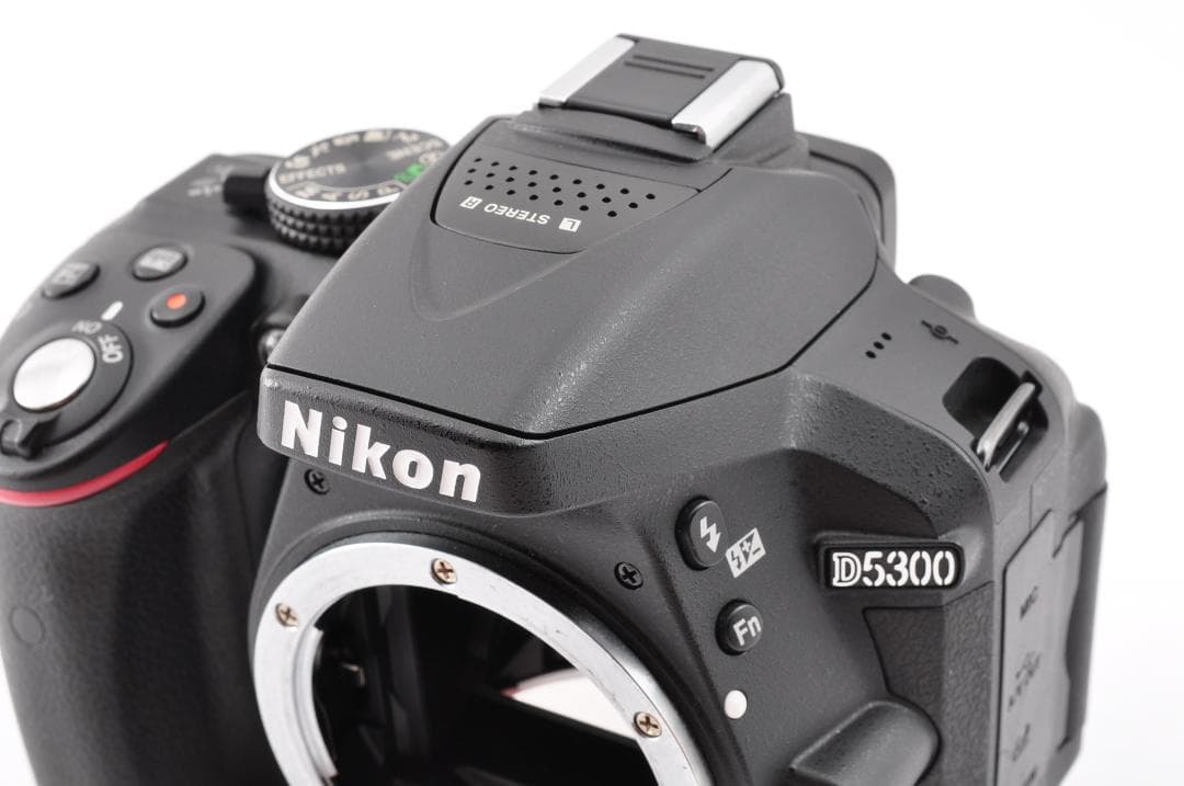 Nikon D5300 デジタルカメラ シャッター数 2869(3%)#FI13