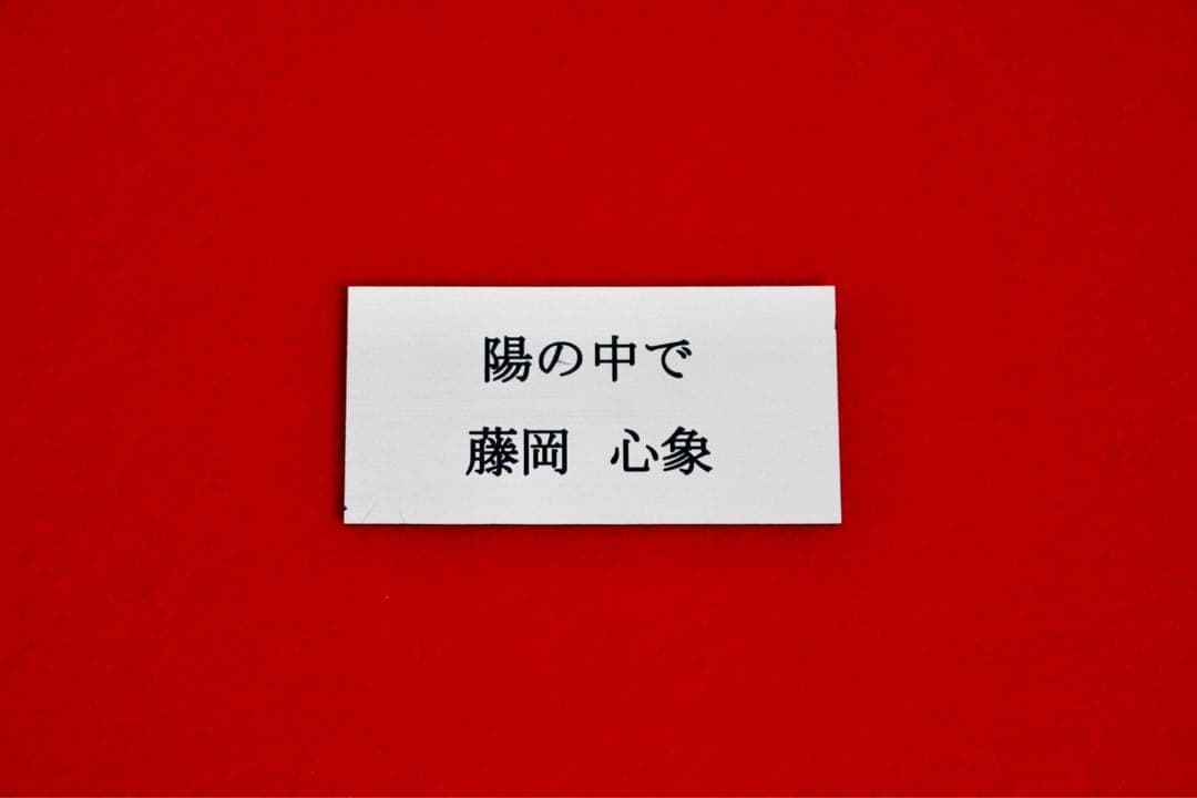 花乙女コレクション【藤岡心象　陽の中で】購入金額より60％お値引き！！