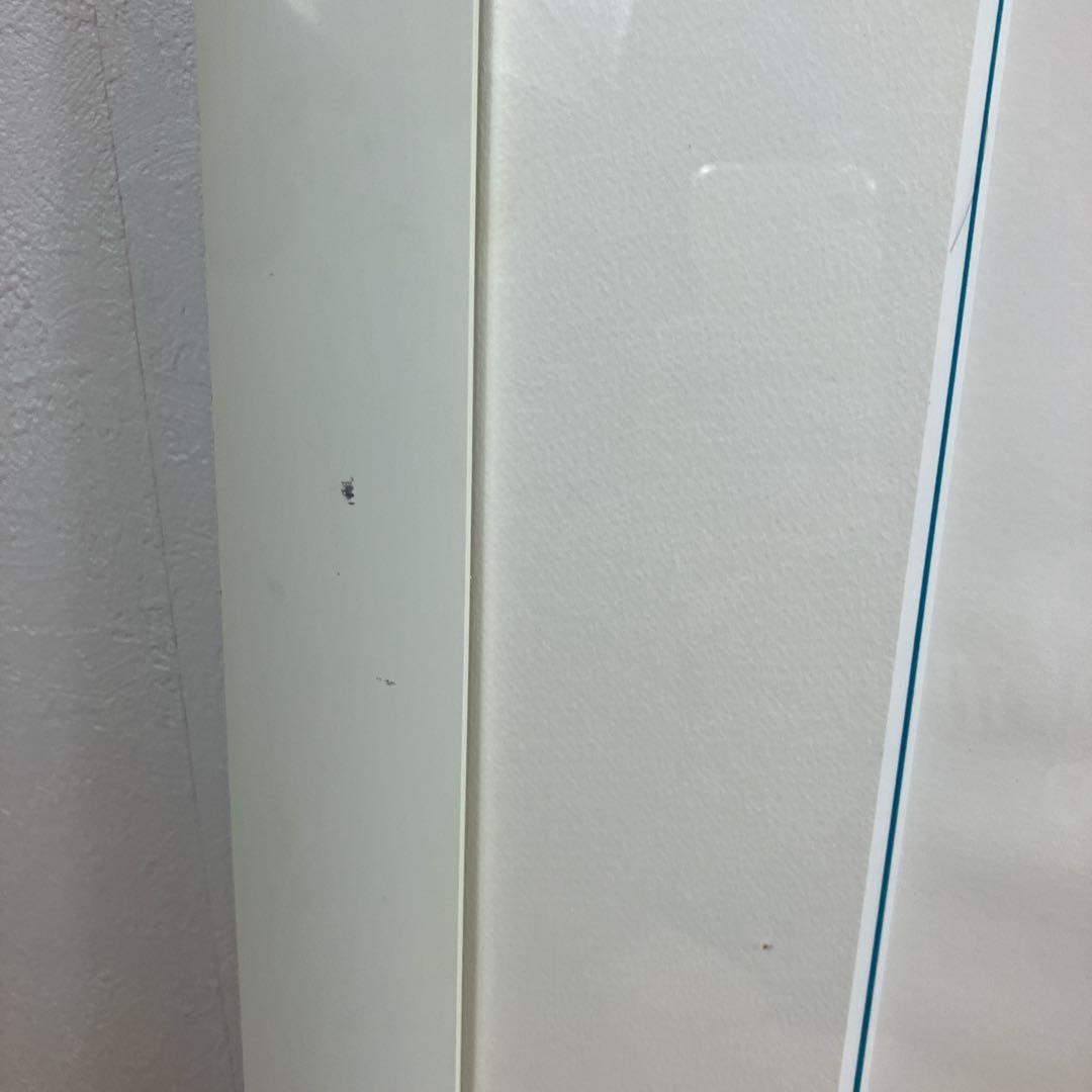 希少　ジョアン フック 絵画　リトグラフ　熱帯の動物たち　235/900